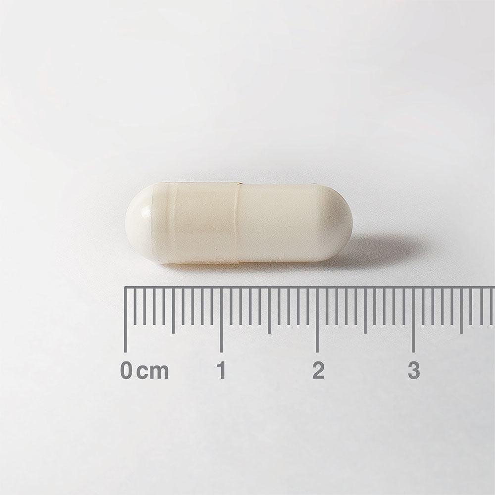 White capsule with a ruler for scale on a white background