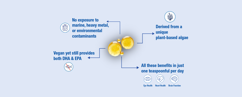 Vegan FishOil Inforgraphic Secondary Image