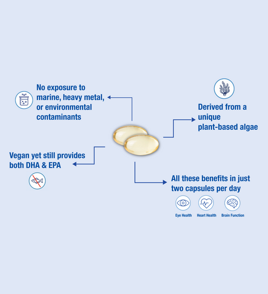 Vegan FishOil Inforgraphic Secondary Image