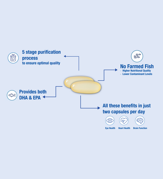 FishOil Inforgraphic Secondary Image