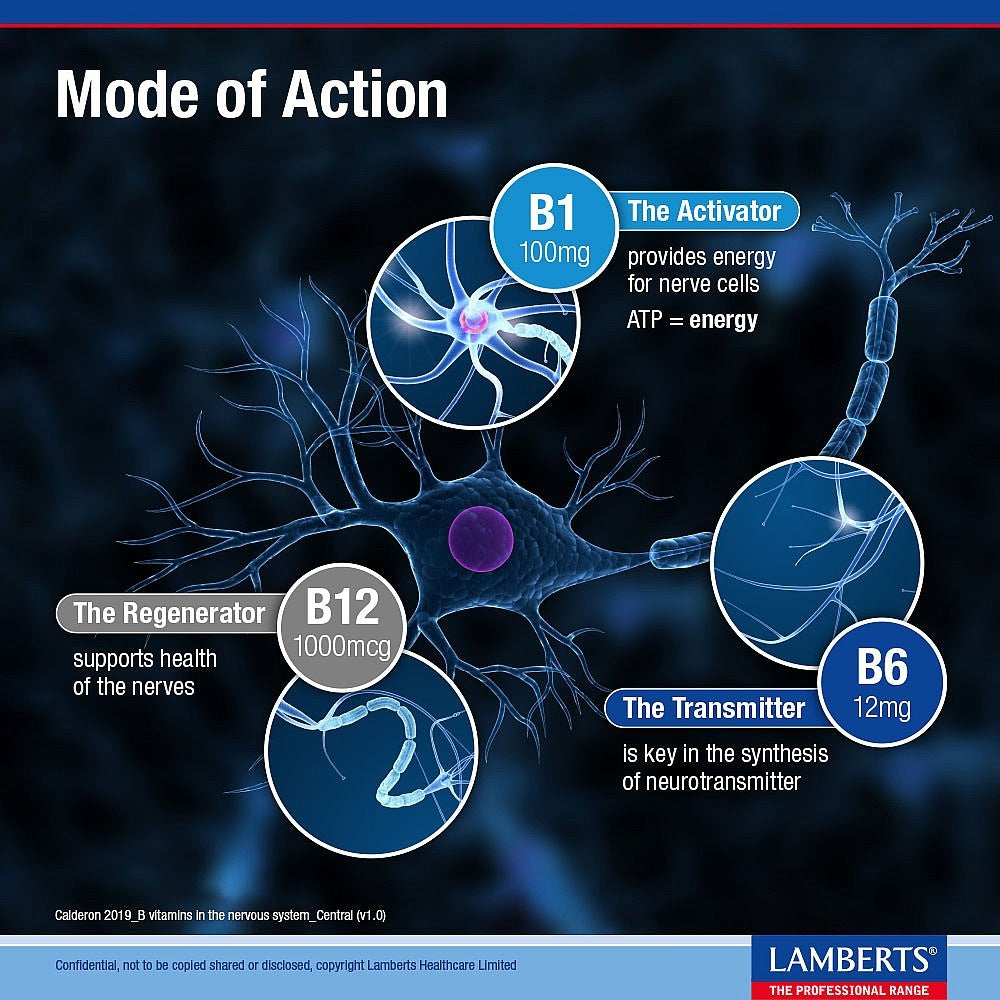 Diagram of a neuron with labeled vitamins and their functions, featuring Lamberts Healthcare Limited branding.