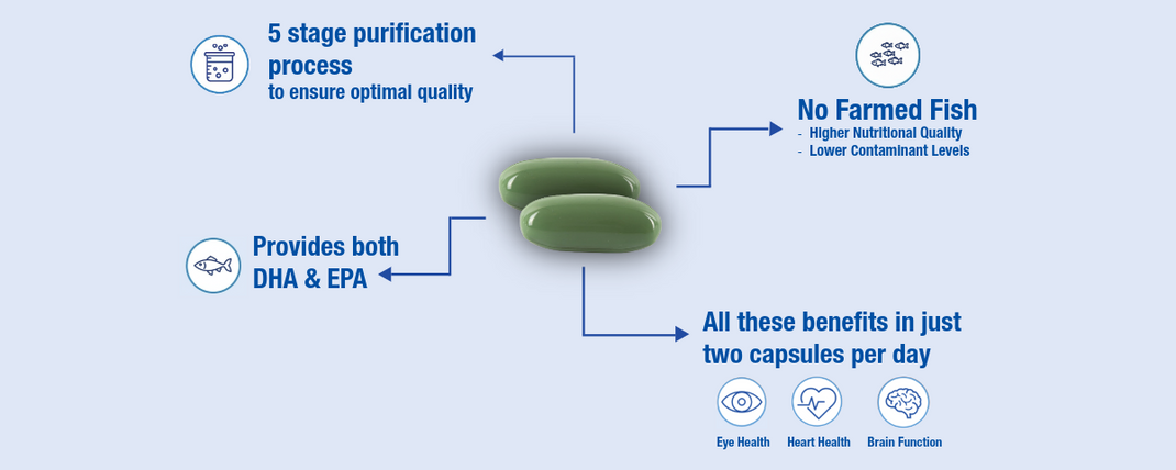 Diagram of fish oil capsules with purification process and health benefits on a blue background