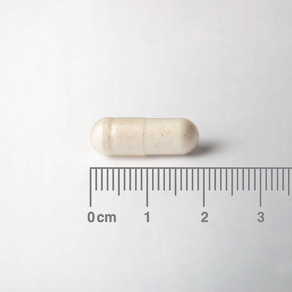 White capsule pill with a ruler for scale on a white background