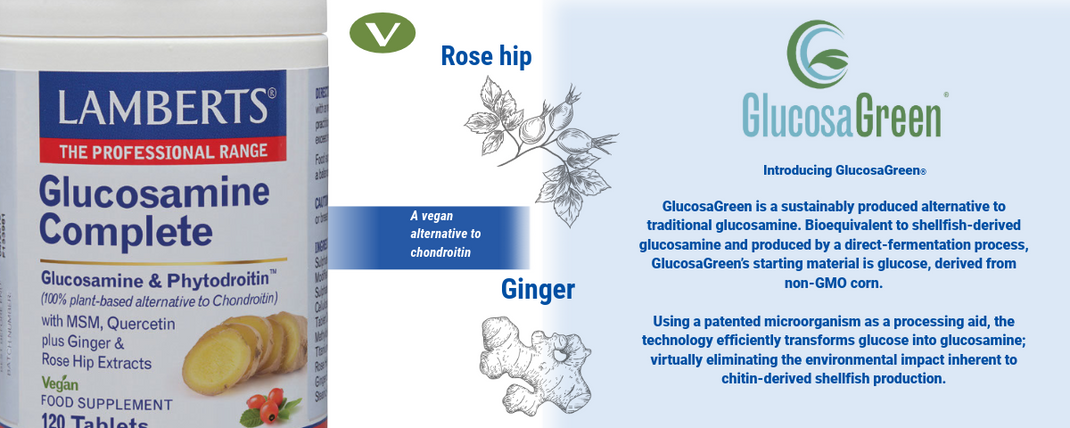 Lamberts Glucosamine Complete supplement packaging with branding and product details.