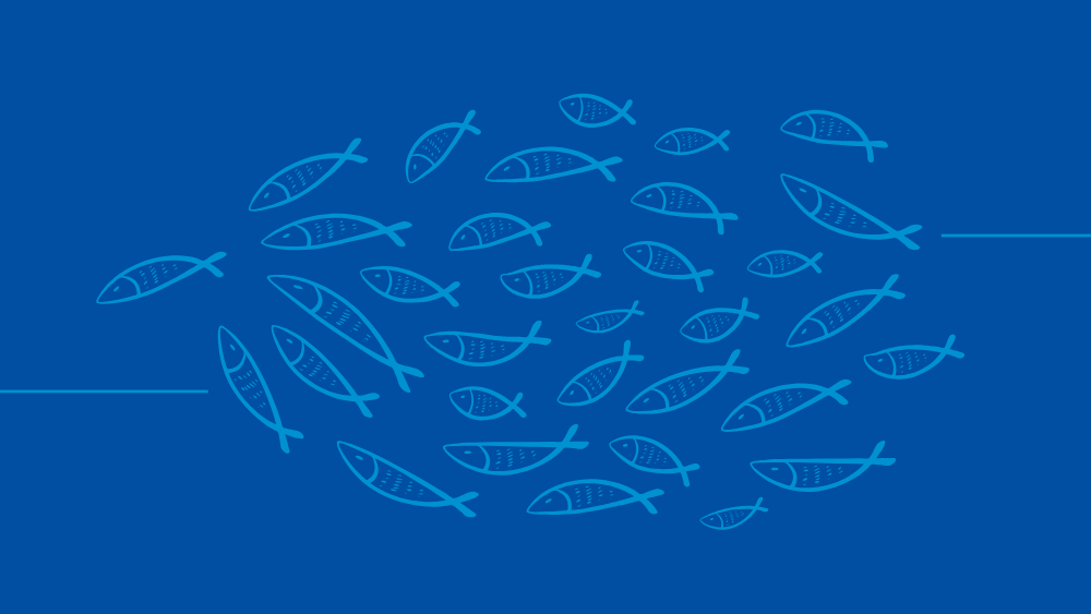 Fish Oil/Omega