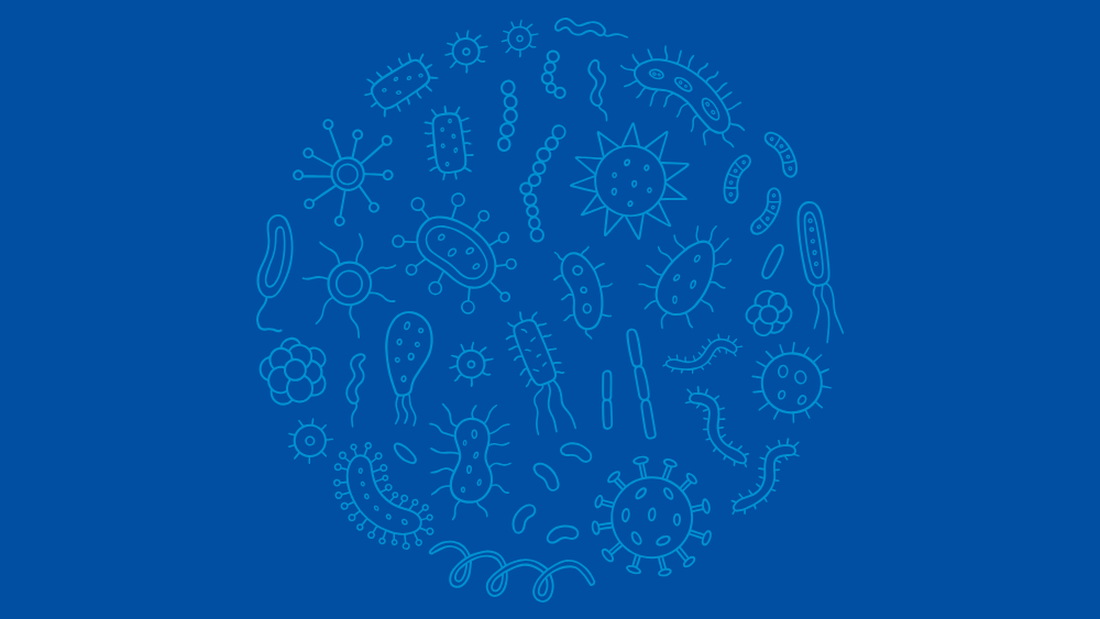 Live Bacteria