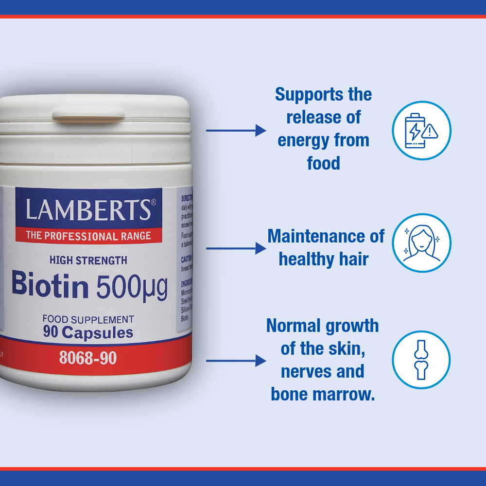 Biotin 500µg