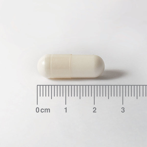 White capsule with a ruler for scale on a white background