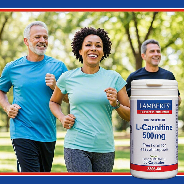 l carnitine lamberts L-Carnitine 500mg