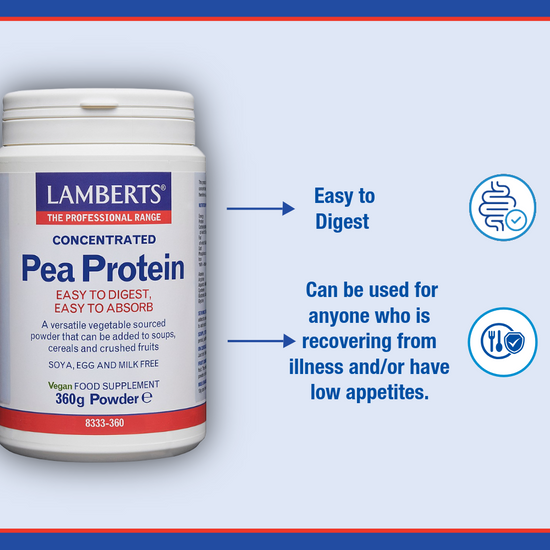 Pea Protein (powder)