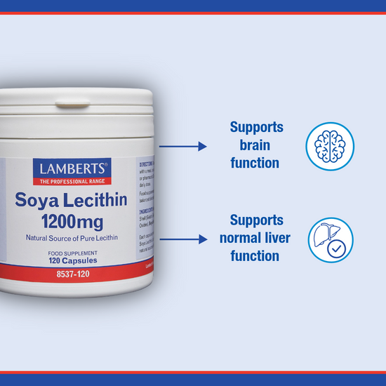 Soya Lecithin Capsules 1200mg