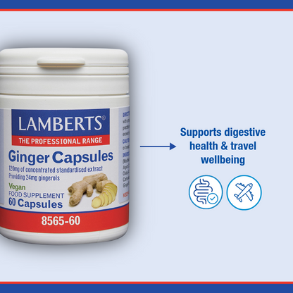 Ginger Capsules