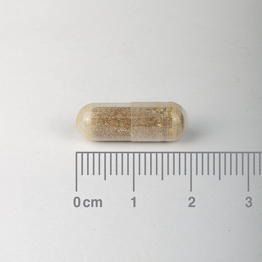 capsule with gold flecks next to a ruler on a white background