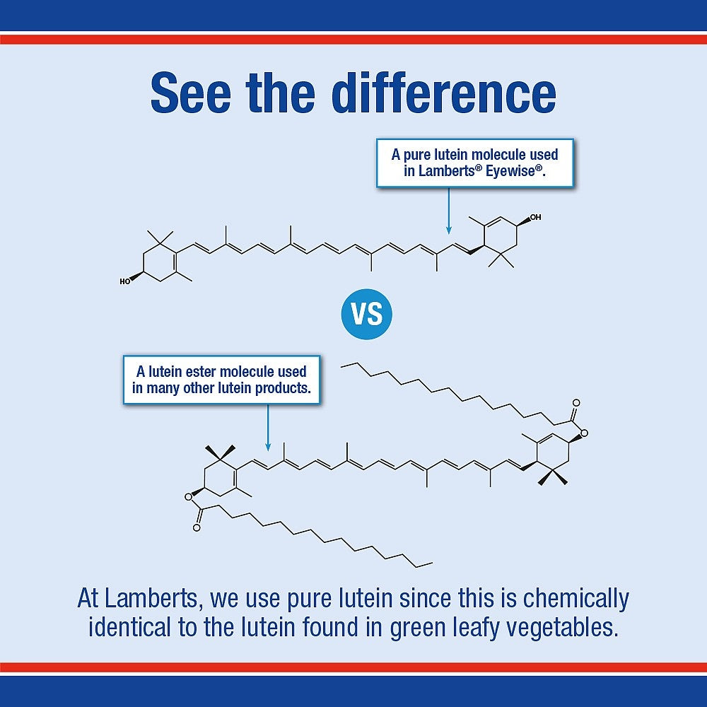 Comparison of pure lutein molecule and lutein ester molecule with text about Lamberts' use of pure lutein.