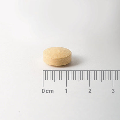 Wooden pill with a ruler for scale on a white background