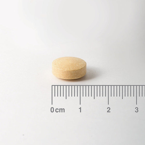 Wooden pill with a ruler for scale on a white background