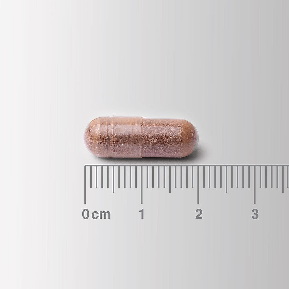 Capsule with a ruler for scale on a white background