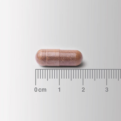 Capsule with a ruler for scale on a white background