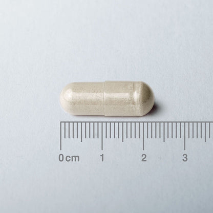 Capsule with a ruler for scale on a light gray background