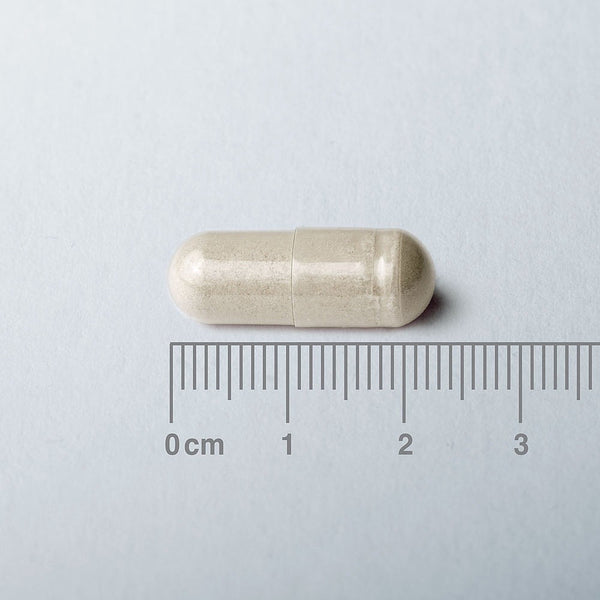 Capsule with a ruler for scale on a light gray background