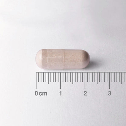 Capsule-shaped object with a ruler for scale on a white background