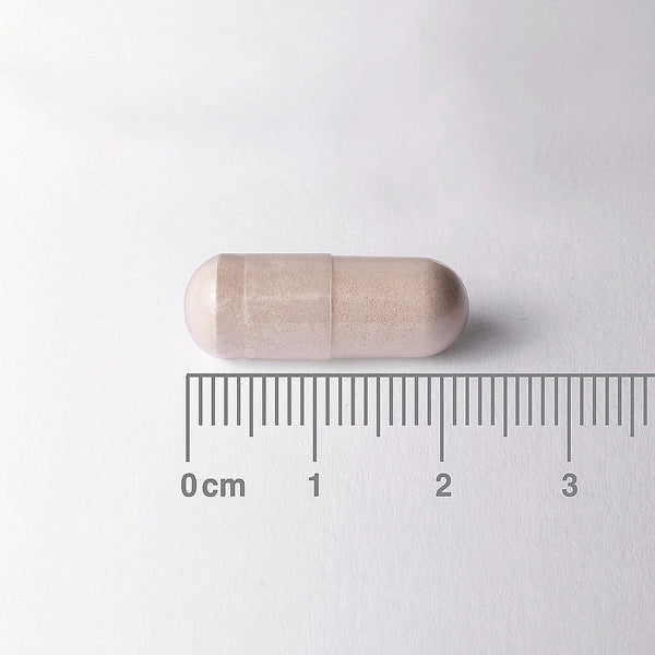 Capsule-shaped object with a ruler for scale on a white background