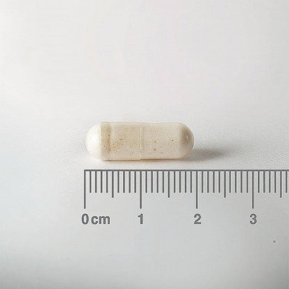 capsule next to a ruler on a white background