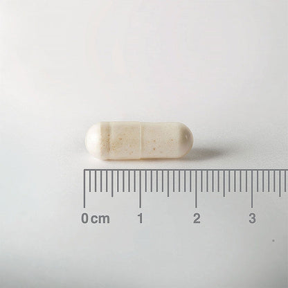 Capsule with a ruler for scale on a white background