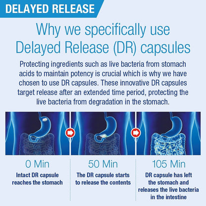 Explanation of delayed release capsules with a diagram of stomach anatomy.