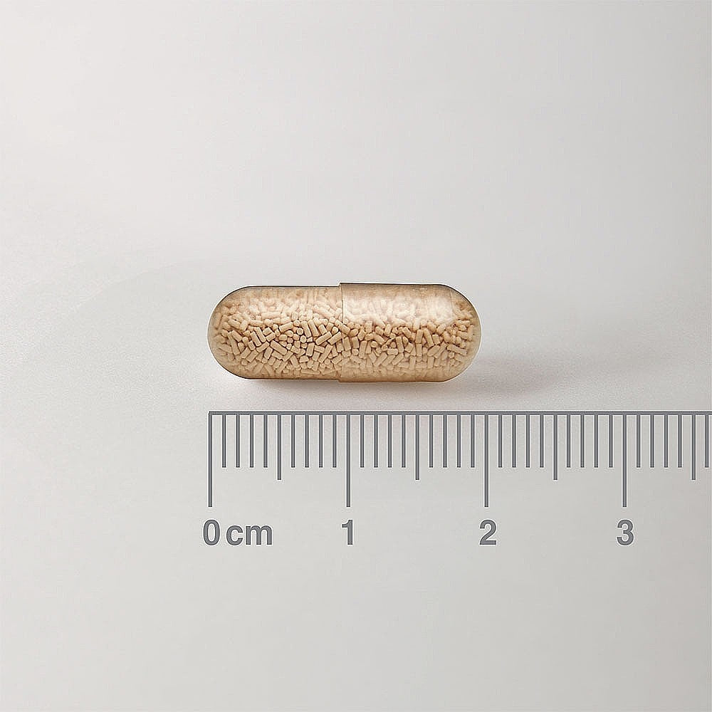 Gold-colored capsule-shaped object with a ruler for scale on a gray background