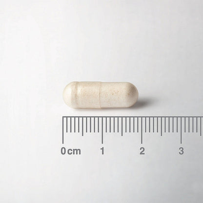 White capsule pill with a ruler for scale on a white background