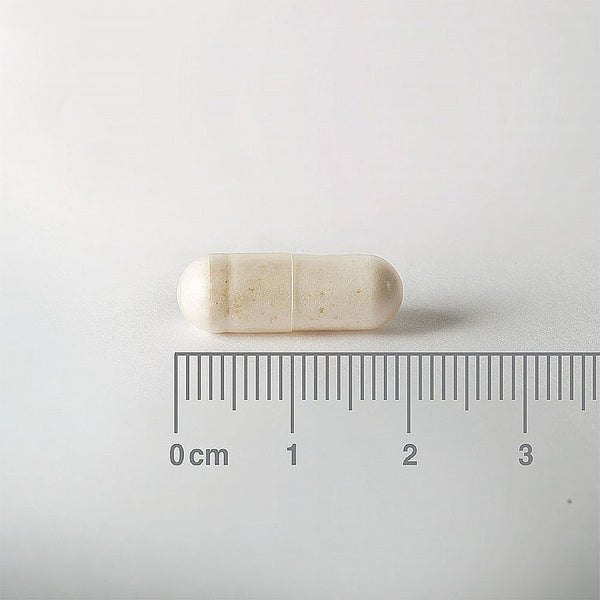 Capsule with a ruler showing its size on a white background