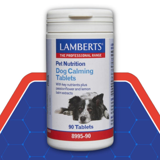 Lamberts Pet Nutrition Dog Calming Tablets container on a blue and red background