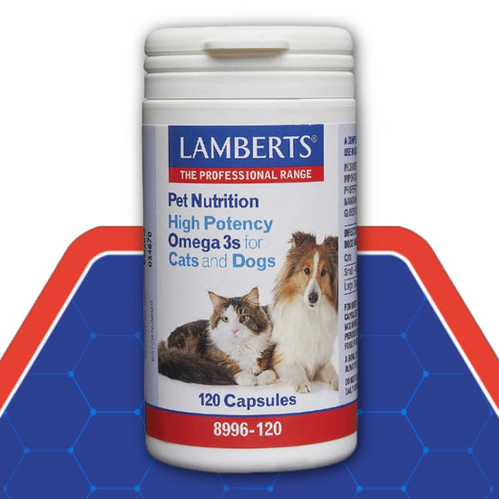 Lamberts pet nutrition supplement container for cats and dogs on a blue and red background