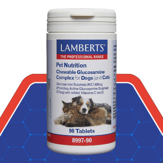 Lamberts Pet Nutrition supplement container for dogs and cats on a blue and red background