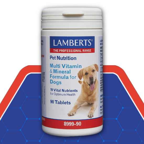 Pet multi packshot on hexagon background