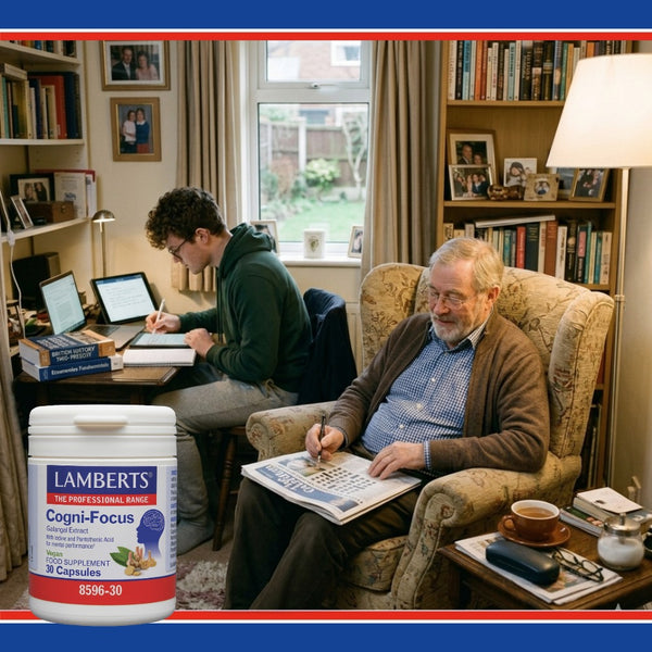Two men in a home setting with one reading a newspaper and the other using a laptop, with a container of Lamberts Cogni-Focus supplement visible.