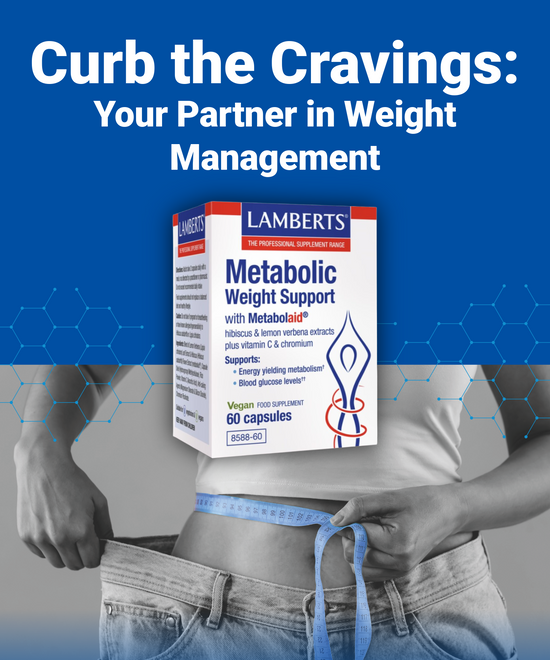 Lamberts Metabolic Weight Support supplement box with a person measuring waistline on a blue background
