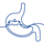 Digestives icon