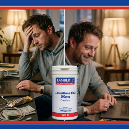 Two men working on laptops with a supplement container labeled 'Lamberts' in the foreground.