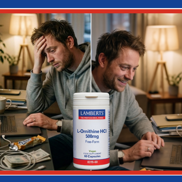 Two men working on laptops with a supplement container labeled 'Lamberts' in the foreground.
