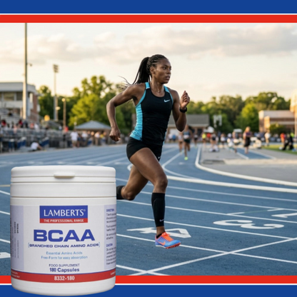 BCAA - Branch Chain Amino Acids