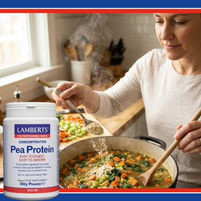 Pea Protein (powder)