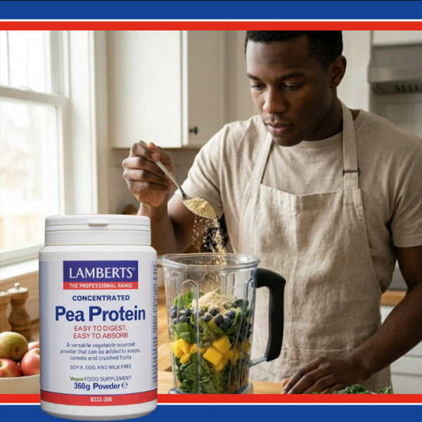 Pea Protein (powder)