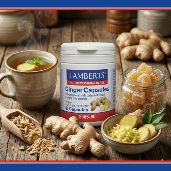 Lamberts Ginger Capsules with ginger root, powder on a wooden surface.